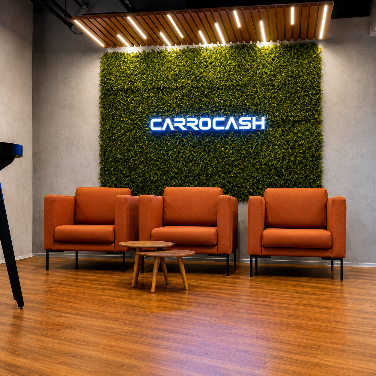 Loja CarroCash - Vista 2